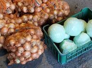 Grajewo ogłoszenia: spzedam cebule  10 zł /10 kg ,sprzedam kapustę 0,8 zł/1 kg - zdjęcie