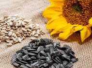 Grajewo ogłoszenia: Firma PHN Cennas w Grajewie
oferuje w atrakcyjnych cenach nasiona... - zdjęcie