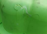 Grajewo ogłoszenia: Sprzedam duża zamykana piaskownice jest delikatnie peknieta - zdjęcie