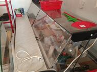 Grajewo ogłoszenia: Sprzedam dwie lady chłodnicze 2m. Pozostałość po likwidacji... - zdjęcie